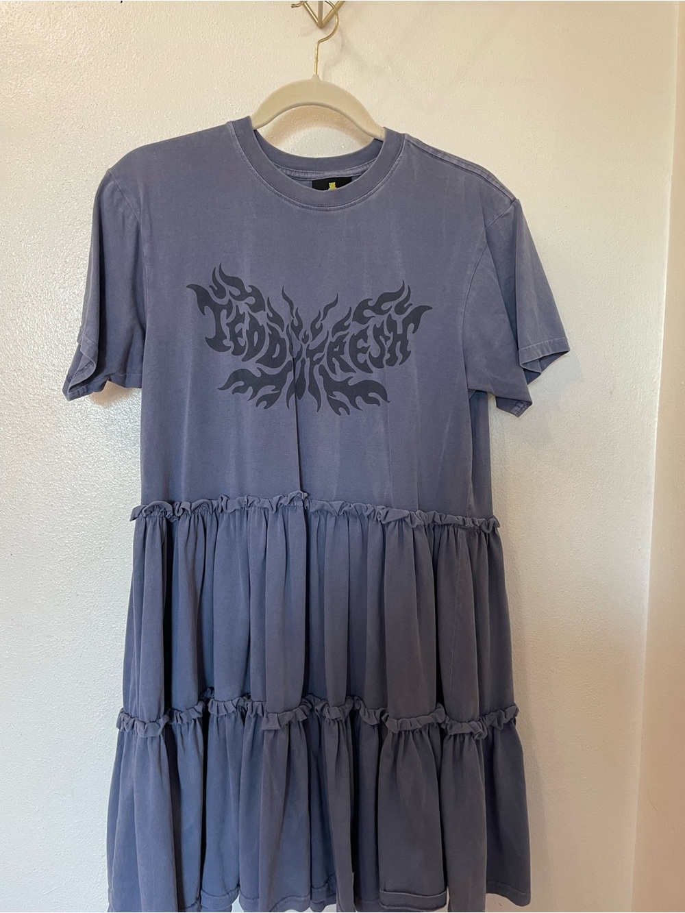 Teddy Fresh Dress